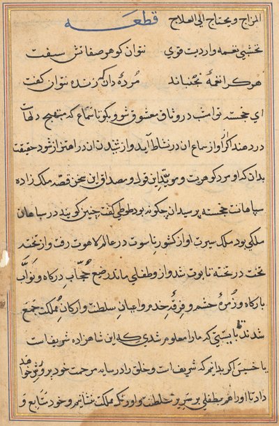 Seite aus den Geschichten eines Papageis Tuti-nama: Textseite, ca. 1560 von Unbekannt