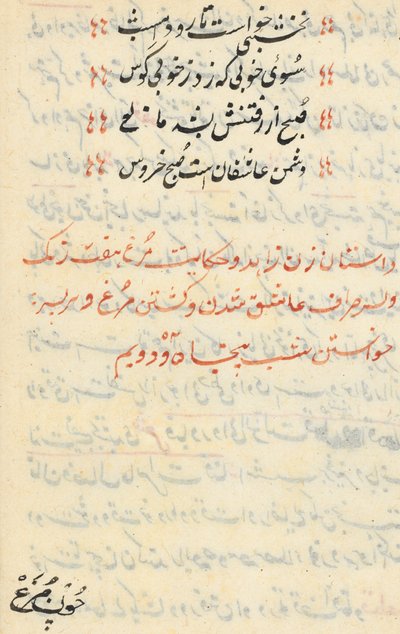 Seite aus den Geschichten eines Papageis Tuti-nama: Textseite, ca. 1560 von Unbekannt