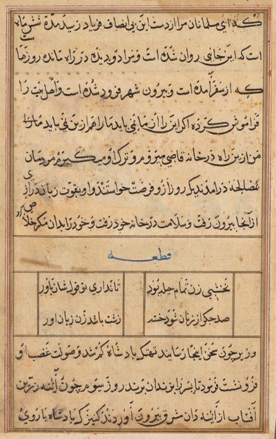 Seite aus Geschichten eines Papageis Tuti-nama: Textseite, ca. 1560 von Unbekannt