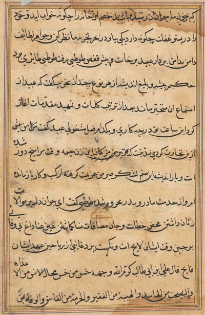 Seite aus Geschichten eines Papageis Tuti-nama: Textseite, ca. 1560 von Unbekannt