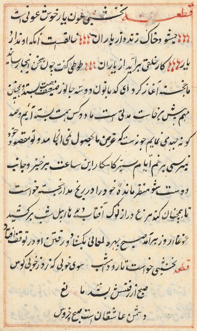 Seite aus den Geschichten eines Papageis Tuti-nama: Textseite, ca. 1560 von Unbekannt