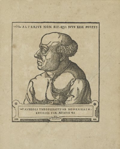 Philippus Theophrastus Aureolus Bombastus von Hohenheim Paracelsus, ca. 1538 von Unbekannt