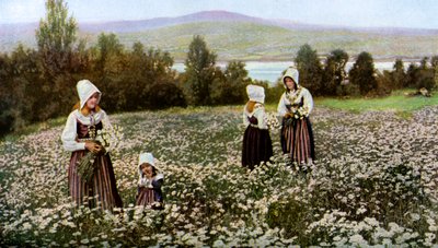 Blumenpflücken auf einer Wiese bei Leksand, Schweden, ca. 1923 von Unbekannt