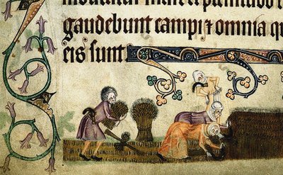 Ernten und Binden von Garben aus dem Luttrell Psalter, um 1330 von Unbekannt