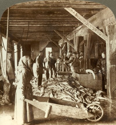 Fischannahme von Seeschiffen und Verpackung für den Export - Fischlager, Ålesund, Norwegen von Unbekannt