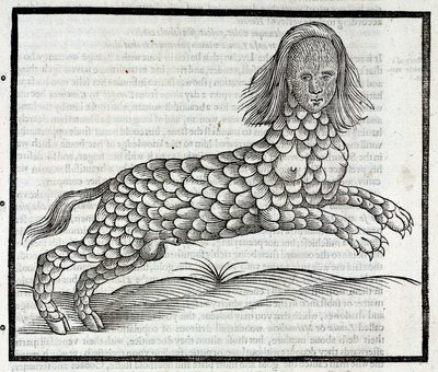 Darstellung der Kreatur Lamia (Sybaris), Gravur aus 