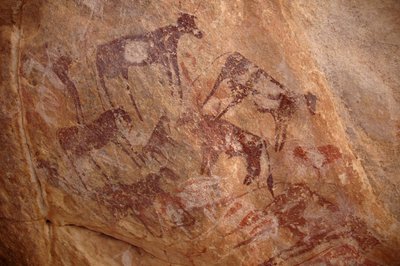 Felskunst, Vorgeschichte: Malerei einer Gruppe von Rindern und Figuren in einem verzierten Schutzraum im Uweinat-Massiv, Sudan (Karkur-Talh oder Karkur Talh). Zeitraum von 8000 bis 3000 v. Chr. Fotografie von Unbekannt
