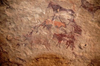 Felskunst, Vorgeschichte: Felsmalerei einer Gruppe von Rindern und polychromen Figuren (Hirten und Bogenschützen) in einem verzierten Schutzraum im Uweinat-Massiv, Sudan. Zeitraum von 8000 bis 3000 Jahre v. Chr. Fotografie von Unbekannt