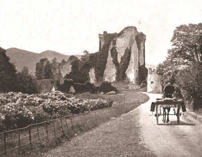 Ross Castle, Isle of Ross, County Kerry, Irland, 1894 von Unbekannt