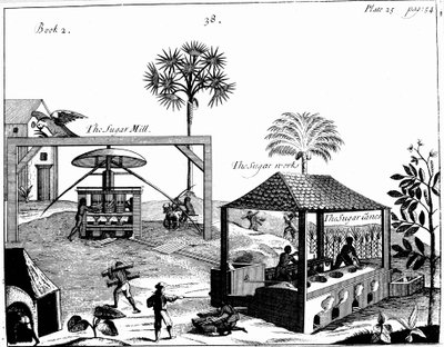 Sklavenarbeit auf einer Zuckerplantage in Westindien, 1725 von Unbekannt