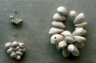Schnüre aus Kaurimuscheln von Unbekannt