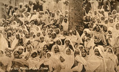 Die schönen Mädchen von Sippi, Simla, ca. 1918-1939 von Unbekannt