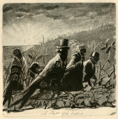 Der Flug der Schwalben, 1882 von Unbekannt