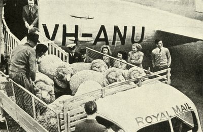 Transport von Preisböcken per Luft, ca. 1948 von Unbekannt