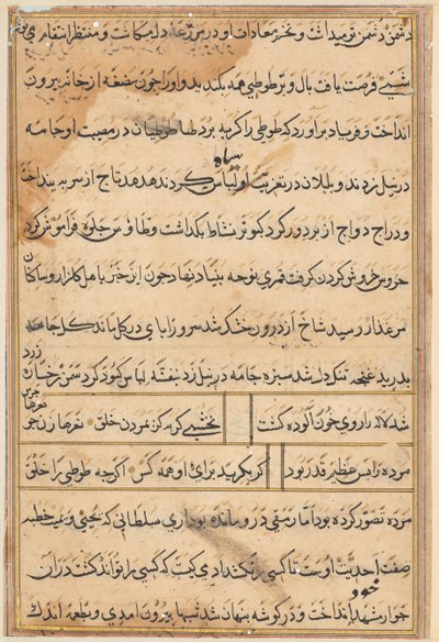Tuti-Nama Geschichten eines Papageis, um 1560 von Unbekannt