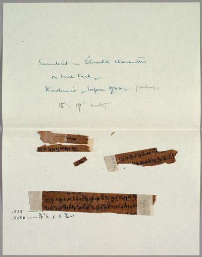 Zwei Fragmente von Rinde mit Sanskrit, vor 1700 von Unbekannt