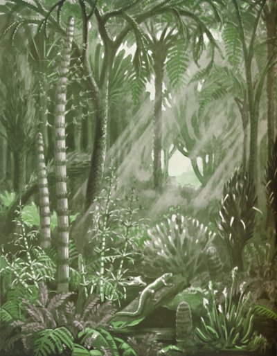 Wie die mächtigen Kohlewälder aussahen, 1935 von Unbekannt