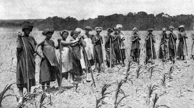 Frauen hacken ein Maisfeld, Südafrika, ca. 1923 von Unbekannt
