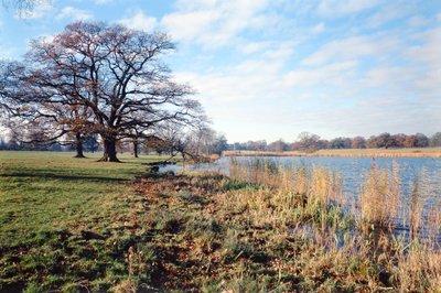 Blick auf den See, Corsham Court, Wiltshire von Unbekannt Unbekannt