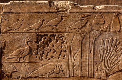 Botanischer Garten von Thutmosis III. mit Reliefdarstellungen von Pflanzen und Tieren, Karnak-Tempel, Luxor, Theben, Ägypten von Unbekannter Künstler