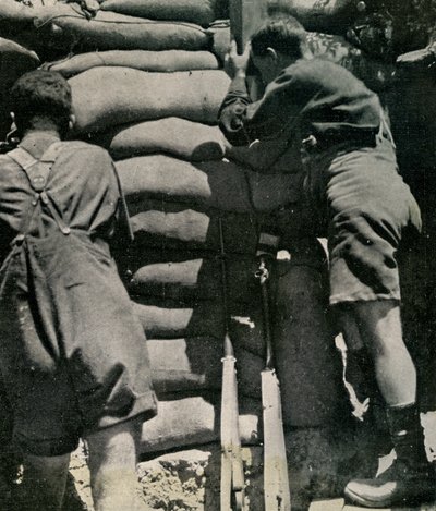 Britische Truppen kämpfen in Khaki-Drill-Shorts, Gallipoli-Halbinsel von Unbekannt