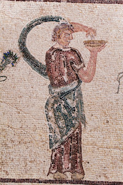 (Detail) Der Triumph des Dionysos - Rückkehr des Gottes von einem Feldzug nach Indien - Eine Bacchantin mit einer Opferschale - Paphos-Mosaiken, Haus des Dionysos, Ende des 2. Jahrhunderts n. Chr. - Zypern von William M. Timlin