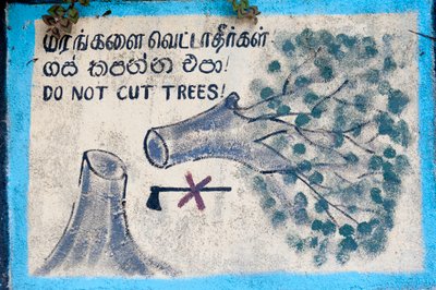Umweltschutz; bemaltes Schild; „Bäume nicht fällen“; Darstellung eines gefällten Baumes und einer durchgestrichenen Axt; Nuwara Eliya; Sri Lanka; Asien von Unbekannt