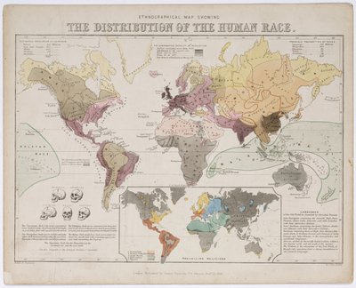 Ethnographische Karte zur Verteilung der menschlichen Rasse von Unbekannt