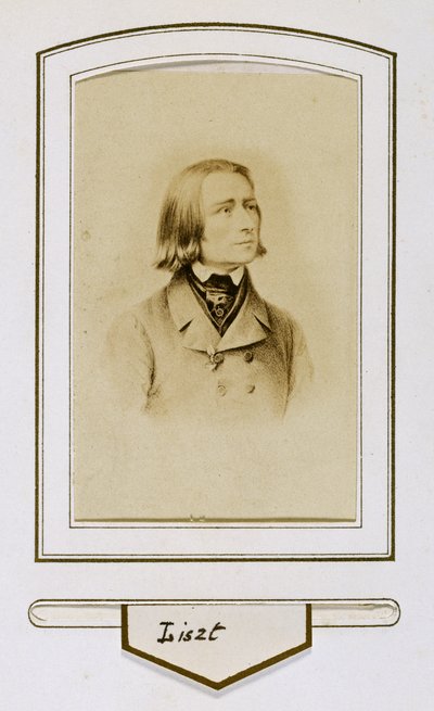 Franz Liszt in jungen Jahren von Unbekannter Künstler