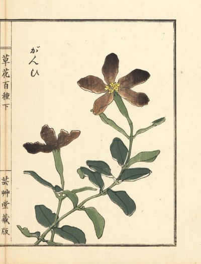 Ganpi oder Leimkraut, Lychnis-Arten (aus Kusa Bana Hyakushu) von Unbekannter Künstler