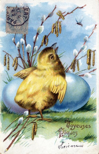 Grußkarte zu Ostern: ein Küken und Eier - Postkarte von 1906 von Unbekannt