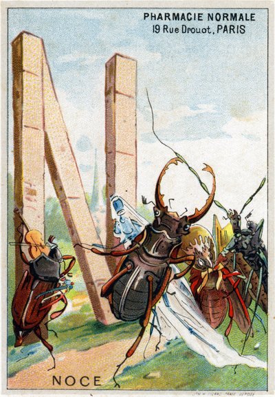 Buchstabe N wie Hochzeit. Künstlerisches Alphabet von Herrn Marinier von Unbekannt