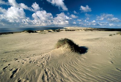 Bewegende Sanddünen, Prussische Sahara, Kurische Nehrung, Nida, Klaipeda, Litauen von William M. Timlin