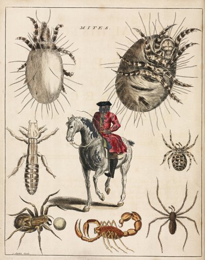 Mikroskopie von Unbekannt