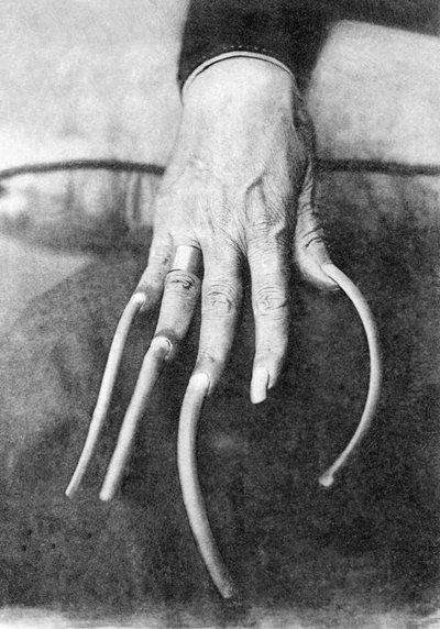 Monströse Besonderheit: Eine Hand mit sehr langen Nägeln. China um 1910. Historisches Foto, lange Fingernägel, China, ca. 1910. von Unbekannter Künstler