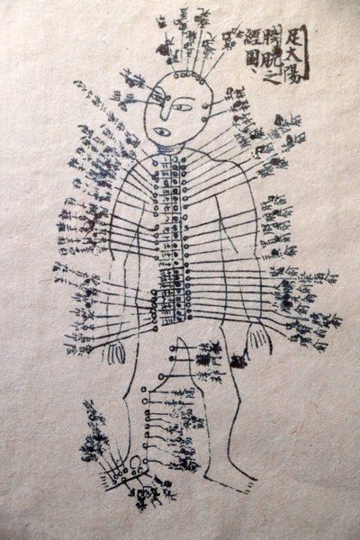 Museum für traditionelle vietnamesische Medizin, Die Kanäle und Gefäße, Buch der Akupunktur, Ho-Chi-Minh-Stadt, Vietnam von Unbekannt