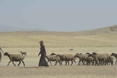 Nomadenzelte zwischen Tamar und Ashkhaneh, Iran 2022 von Unbekannter Künstler