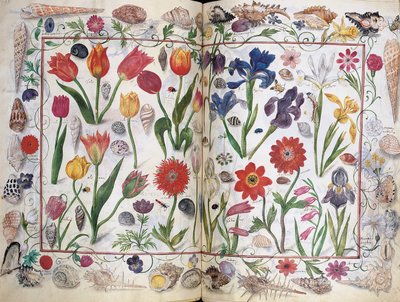 Seiten aus dem Album Amicorum von Philipp Hainhofer, 1596-1633 von Unbekannt