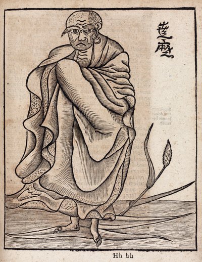 Porträt von Bodhidharma von Unbekannt