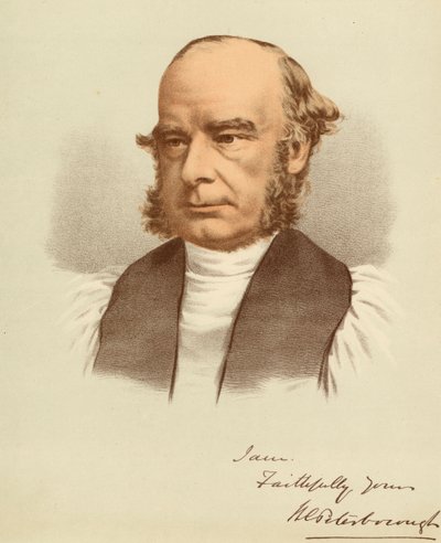 Porträt von William Magee von Unbekannter Künstler