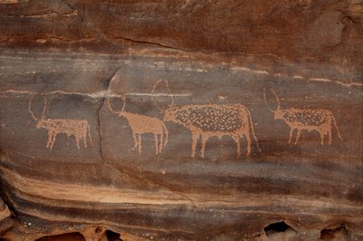 Felskunst, Vorgeschichte: Gravur von vier Rindern im Uweinat-Massiv, Sudan (Karkur-Talh oder Karkur Talh). Zeitraum von 8000 bis 3000 Jahre v. Chr. Fotografie von Unbekannt