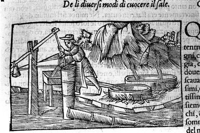 Salzproduktion: Kochen. Gravur von Olaus Magnus (1490-1557), schwedischer Geistlicher und Geograph, „Historia de Gentis Septentrionalibus“, Venedig von Unbekannt