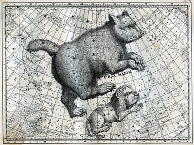 Die borealen Sternbilder: der Große Bär und der Kleine Löwe. Gravur aus Camille Flammarions „Les étoiles et les autres curiosités du ciel“ von Unbekannt