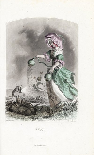 Die Mohnfee streut Mohnkapseln auf Käfer und Heuschrecken - Radierung von Charles Geoffroy nach einer Illustration von Jean Ignace Isidore Gerard dit J.J.Granville für Les fleurs animées von Unbekannter Künstler