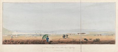 Ansicht von Kapstadt, Table Bay und den Tygerberg Hills (Südafrika). Lithographie (26,5x53,5 cm) von J.W. Burchell von Unbekannter Künstler