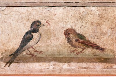 Schwalbe und Spatz, römisches Wandgemälde aus Boscoreale bei Pompeji, 1. Jahrhundert von Unknown