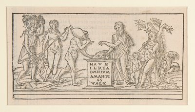 Seite aus einer Kopie nach Francesco Colonna von Unknown