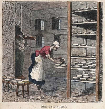 Eine Käserei. Illustration des 19. Jahrhunderts. Bianchetti Sammlung von Unknown artist