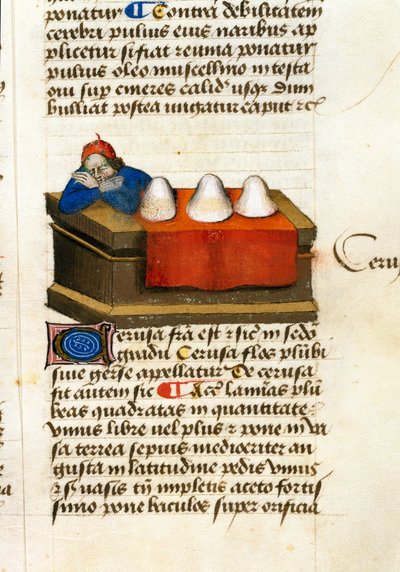 Ein Hirschhändler, verwendet für Kosmetika. Beschreibung von Heilpflanzen und deren Zubereitung. Manuskriptseite „Traktat über Kräuter“ von Pedanius Dioskurides (40-90 n. Chr.) Lat.1152 von Unknown artist