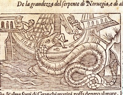Eine riesige Meerschlange greift ein Schiff an und schlägt seine Besatzung. Gravur von Olaus Magnus (1490-1557), schwedischer Geistlicher und Geograph, „Historia de Gentis Septentrionalibus“, Venedig von Unknown artist